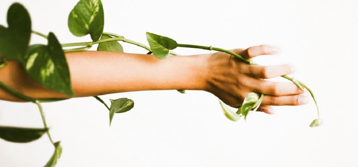 PHYTOCHOICE