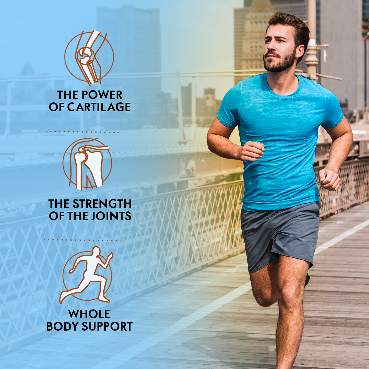 GLUCOSAMINE CHONDROITIN