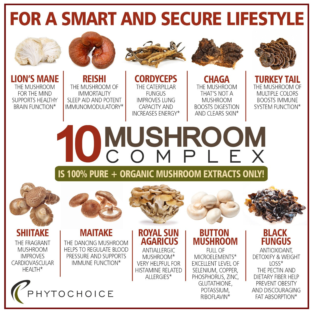 10 MUSHROOMS COMPLEX
