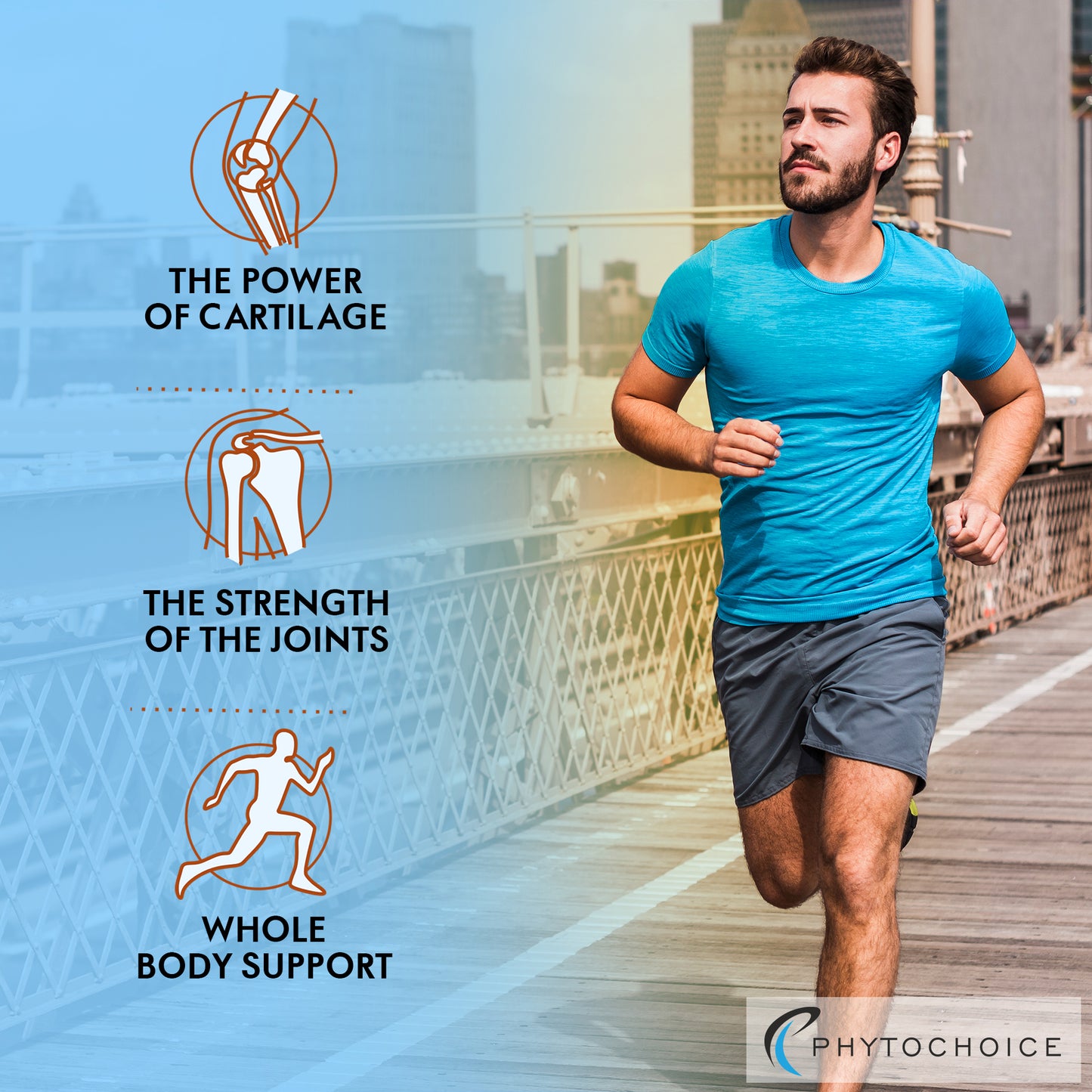 
                  
                    GLUCOSAMINE VALUE PACK
                  
                